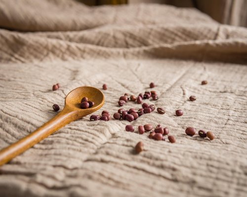 A variety of healthy Mexican food ingredients like nopales and beans