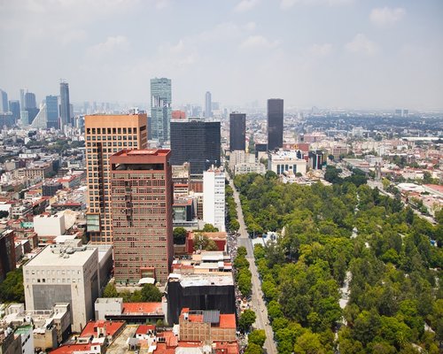 People walking lightly in an urban park area in Mexico